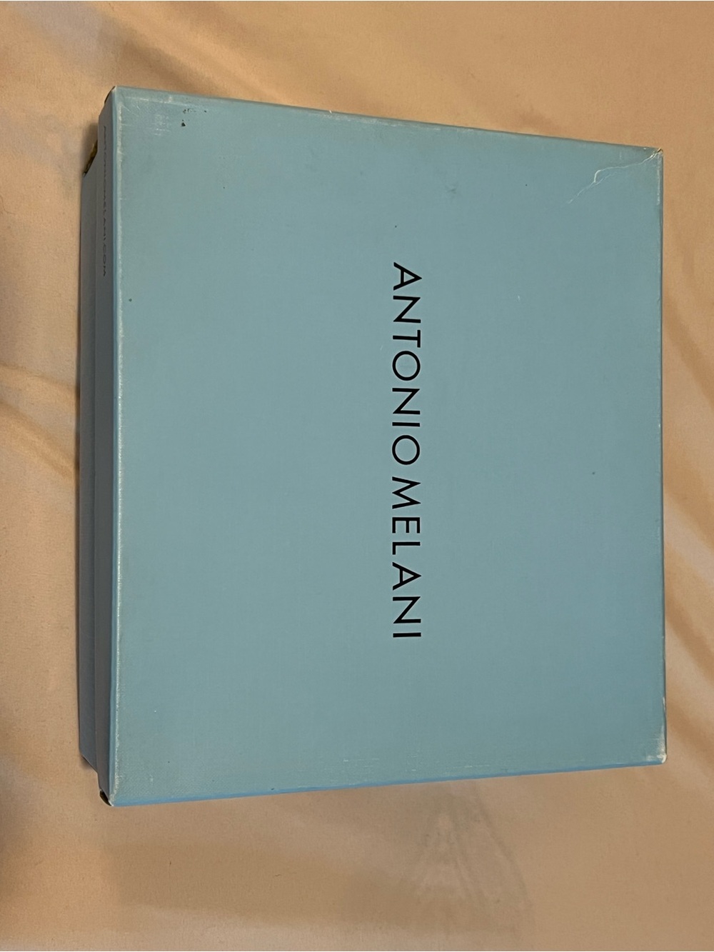 ANTONIO MELANI Powder Blue Decorative Storage Box